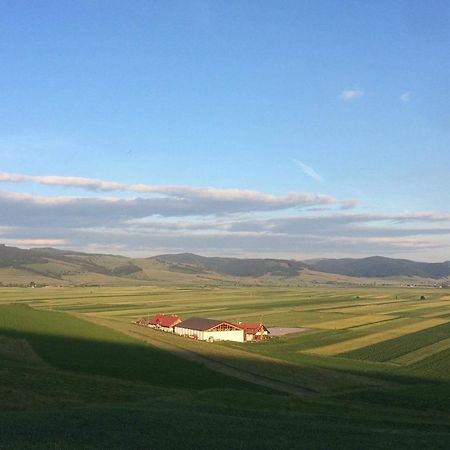 Kavalliera Pensiune Cotormani Exterior foto