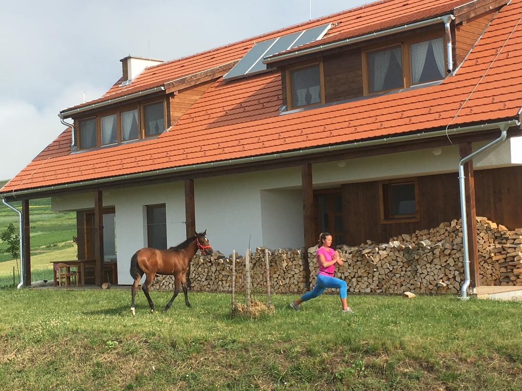 Kavalliera Pensiune Cotormani Exterior foto