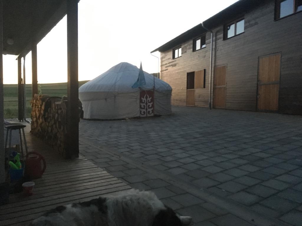 Kavalliera Pensiune Cotormani Exterior foto